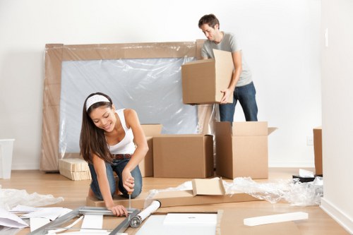 Risk assessment and safe access planning for a man with van move in Upminsterbridge