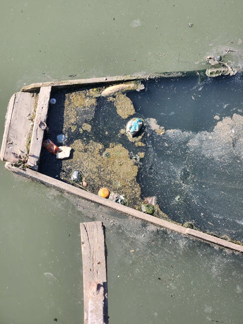 Close-up view of a rectangular wooden frame, likely part of a small boat or pond liner, positioned in a waterway with murky green and dark water surrounding it. The frame contains stagnant, algae-covered water, along with scattered debris including a plastic bottle, a crumpled paper or cloth, a small orange ball, and other small refuse. The wooden edges of the frame are weathered and partly submerged, with some small floating algae and dirt visible on the water's surface. The setting appears to be outdoors, possibly during a house clearance or waste disposal cleanup related to a property removal or renovation in Upminster Bridge, with visible action of recycling or disposing waste materials. Man with Van Upminster Bridge offers services that include waste removal and property clearance, evidenced by this scene depicting waste accumulation in an area prepared for disposal or transportation.