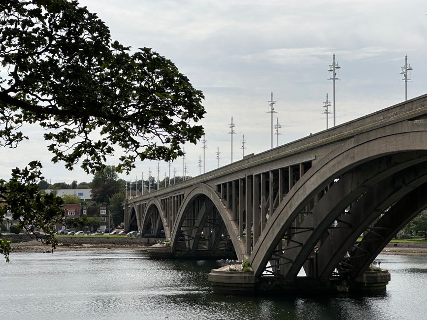 A concrete bridge with multiple arches spanning across a river, featuring tall lamp posts along the top and visible wiring. In the foreground, a tree with leafy branches partially frames the left side of the view. The river below reflects the structure, and some small boats or watercraft are faintly visible near the shoreline. On the distant bank, residential buildings and trees can be seen, with an overcast sky overhead. This outdoor scene depicts a typical setting for house removals or furniture transport, where the bridge may serve as part of the logistics route. Man with Van Upminster Bridge operates services such as packing, loading, and transporting household items across this local area, adhering to Havering council permit rules for Upminster Bridge movers.